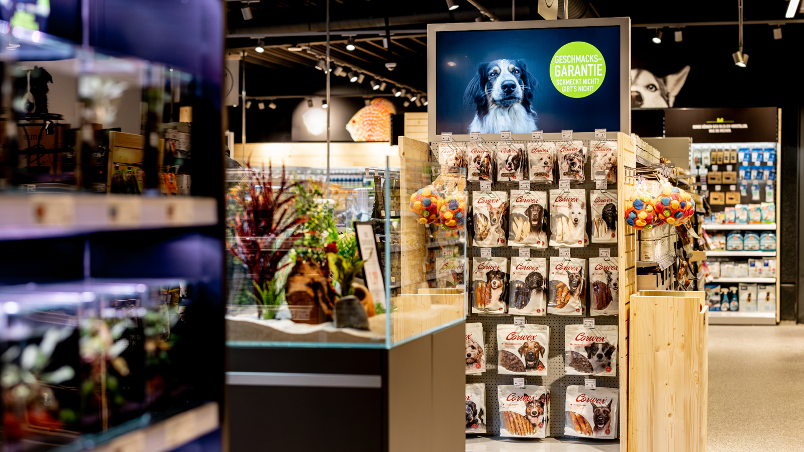 Kw48 Neueroeffnung Stvith Impressionen 768x432 3